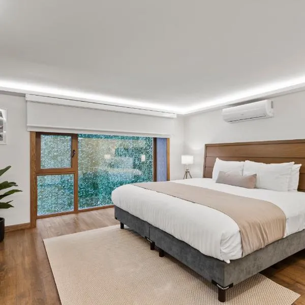 Casa Niza Suites,位于墨西哥城的酒店