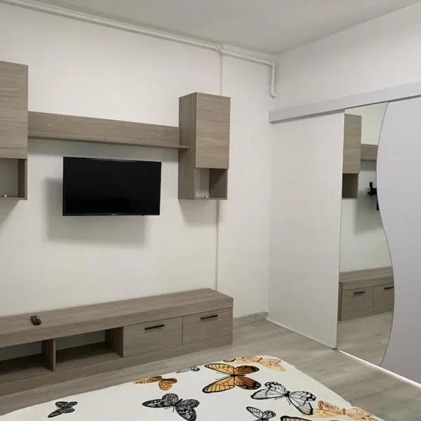 Lovely 1-room apartment，位于Popeşti-Leordeni的酒店