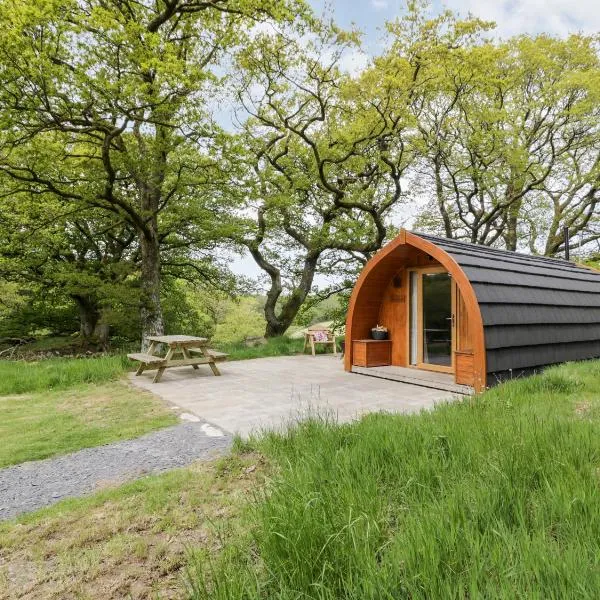 Conwy Pod，位于兰鲁斯特的酒店