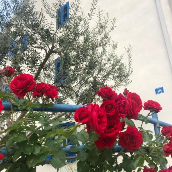 Olive Tree Apartments，位于乌马格的酒店
