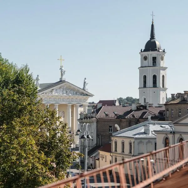 CATHEDRAL Old Town Suites，位于维尔纽斯的酒店