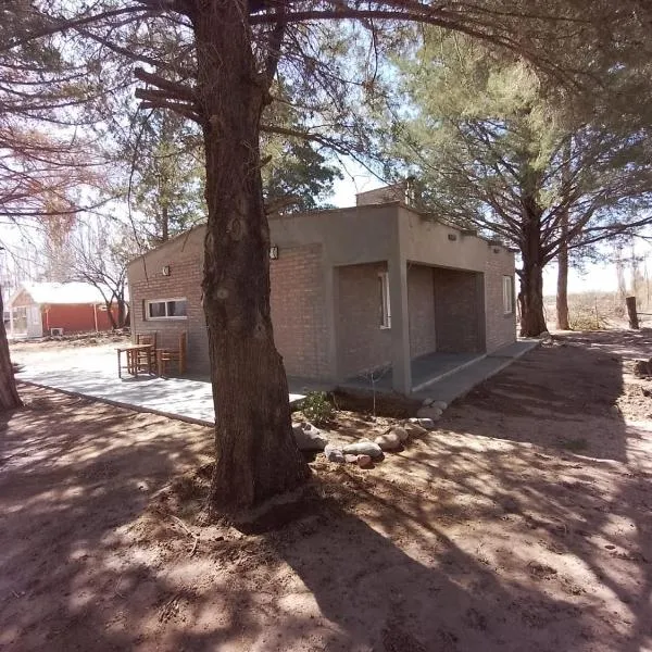 Cabaña Los Pinos，位于巴雷阿尔的酒店