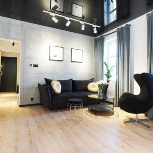 Przytulny elegancki APARTAMENT przy dworcu，位于埃尔布隆格的酒店