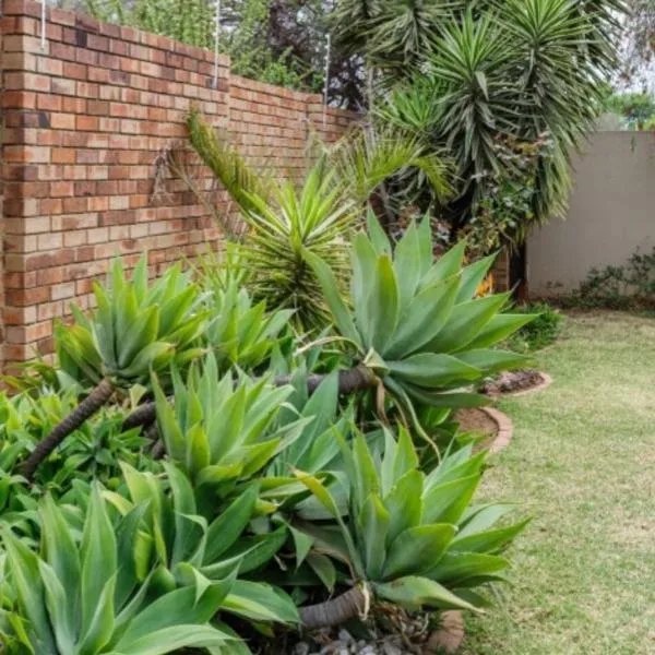 Jewel of Jozi，位于伊登维尔的酒店