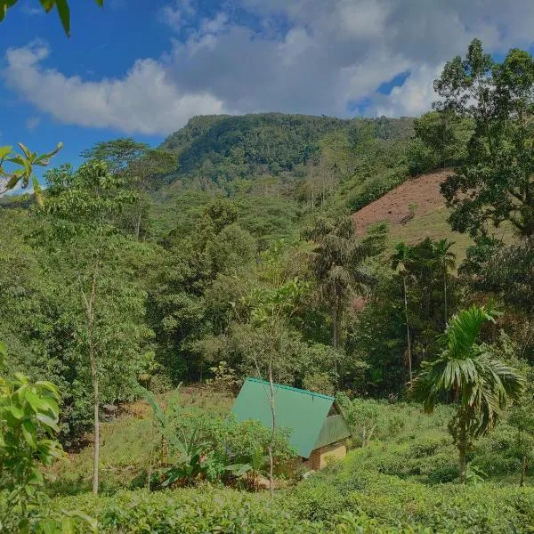 Rainforest cabin，位于Tinniyawala的酒店