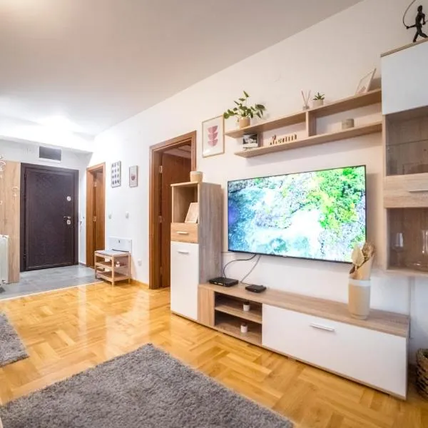 Lux Apartmani Rakić，位于皮罗特的酒店