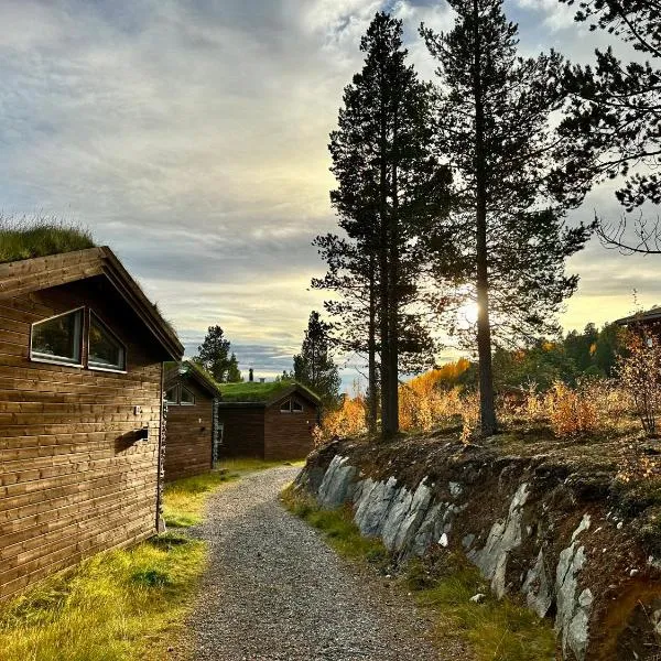 Bjørnfjell Mountain Lodge，位于Kviby的酒店