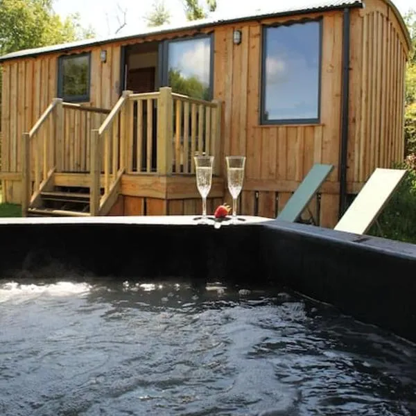 Pembrokeshire Shepherd hut with hottub，位于Llandeloy的酒店