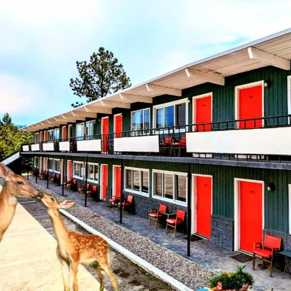 Deerview Lodge & Cabins - Princeton BC，位于Tulameen的酒店