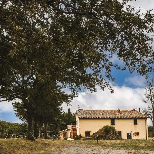 Masseria del Bosco - Podere Poderuccio，位于基安奇安诺泰尔梅的酒店