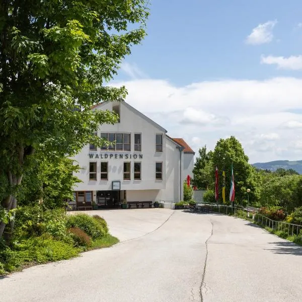 ÖJAB Waldpension，位于韦希瑟尔山麓基希贝格的酒店