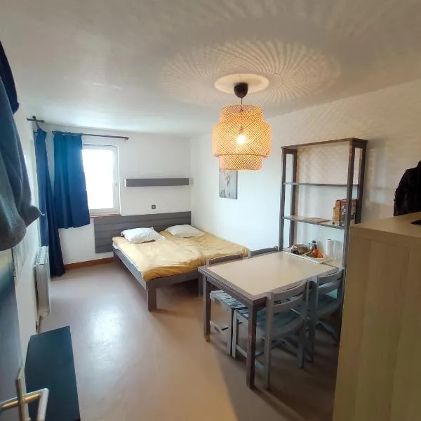 Val Louron Pied des pistes apartment 34 m² 5 pers，位于Génos的酒店