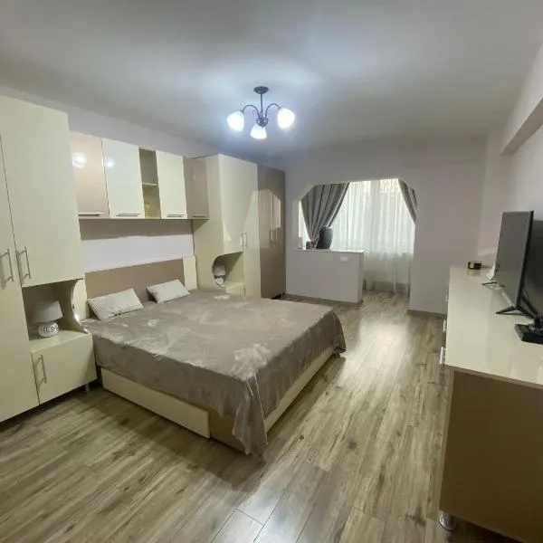 Apartament A&A Hațeg，位于哈采格的酒店