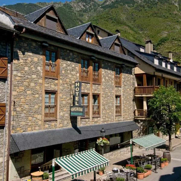 Hotel Avenida Benasque，位于Anciles的酒店