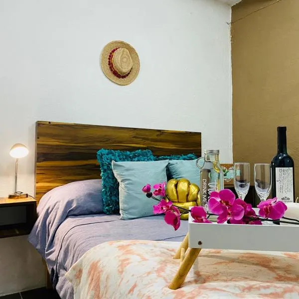 Departamento centrico - Bufa House，位于瓜纳华托的酒店