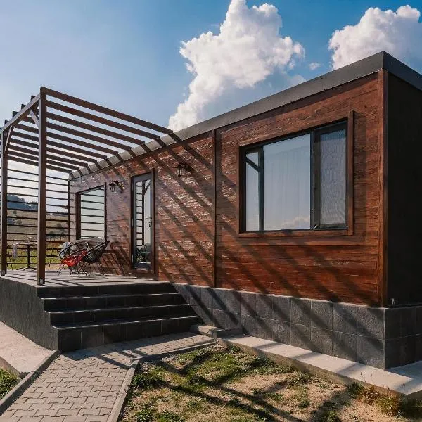 Zen Nest Tiny House，位于布朗的酒店