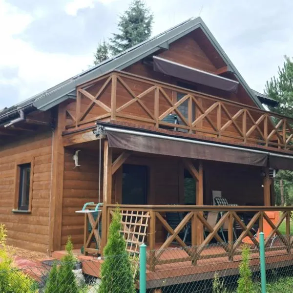 Leśna Rezydencja z plażą nad Zalewem Chańcza，位于Pągowiec的酒店