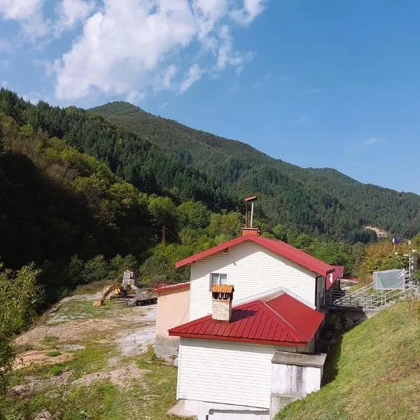 Къща за гости ДАП Баните，位于Manastir的酒店