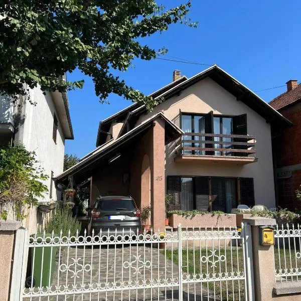 InterInn Luxury Villa，位于帕拉钦的酒店