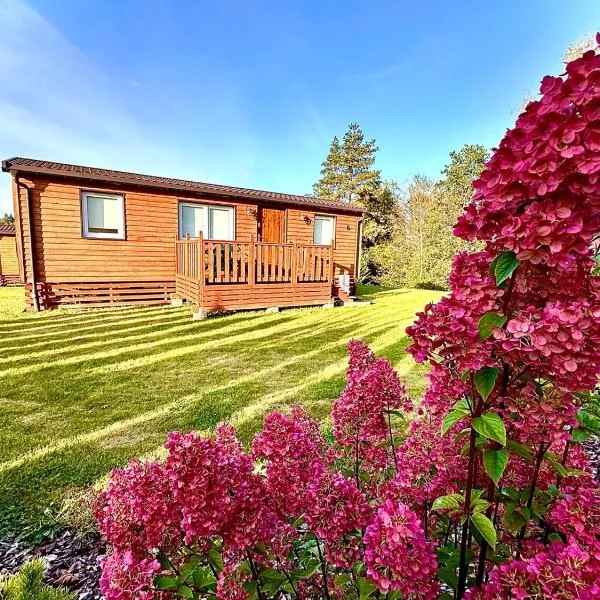 Bungalow Camping Bieska Osada，位于索利纳的酒店
