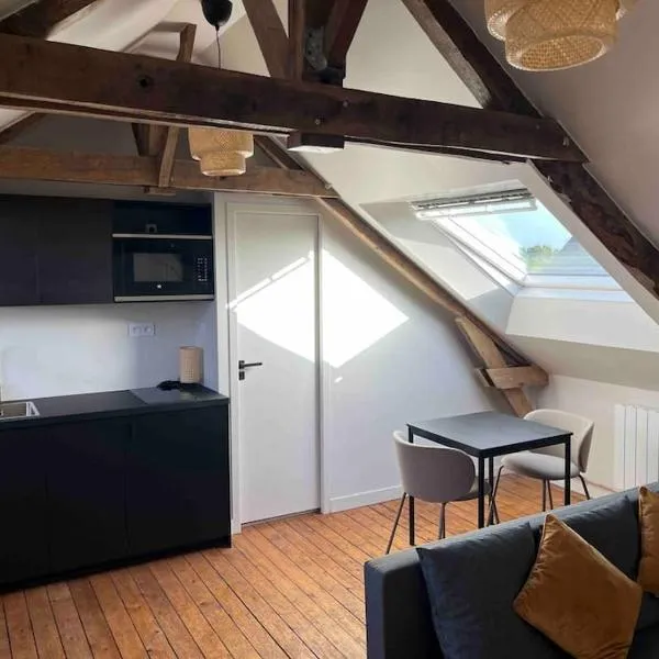 Studio moderne en centre ville，位于Saint-Germain-sur-Ille的酒店