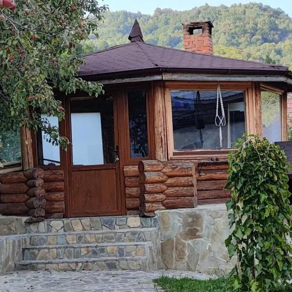 Nature Hideaway，位于Cetatenii的酒店