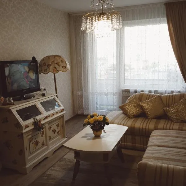 Dviejų kambarių butas，位于Močiškiai的酒店