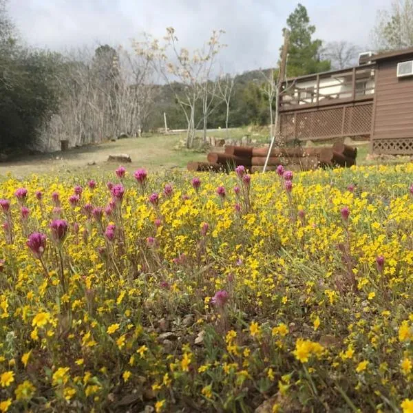 Shirley Creek Retreat: a Mountain Oasis，位于伊莎贝拉湖的酒店