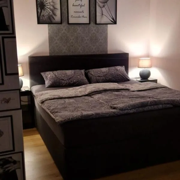 Katrins Ferienwohnung，位于哈默尔堡的酒店