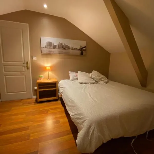 CHAMBRE AU CENTRE VILLE TRES COSY，位于南希的酒店