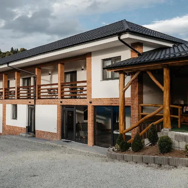 Pensiunea VOX，位于莫伊塞的酒店