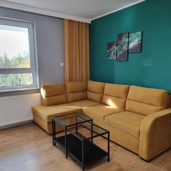 Nowy piękny apartament spokojna okolica, zielono, w poblizu basen, silownia, galerie, lotnisko 8 min，位于Skaryszew的酒店