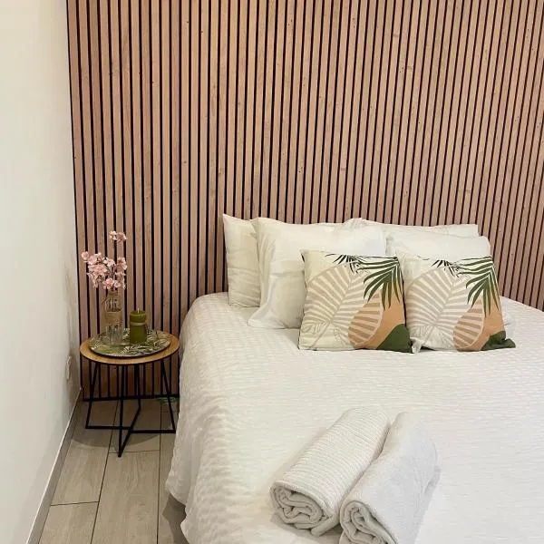Appartement avec jacuzzi，位于萨瑟纳日的酒店