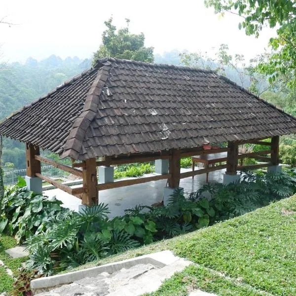 Omah Pinaringan，位于梭罗的酒店
