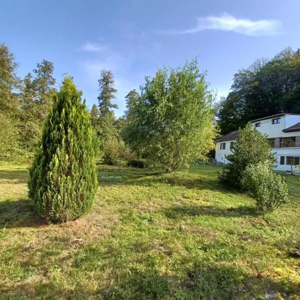 Logement dans un cadre apaisant à Moussey dans les Vosges，位于Moussey的酒店