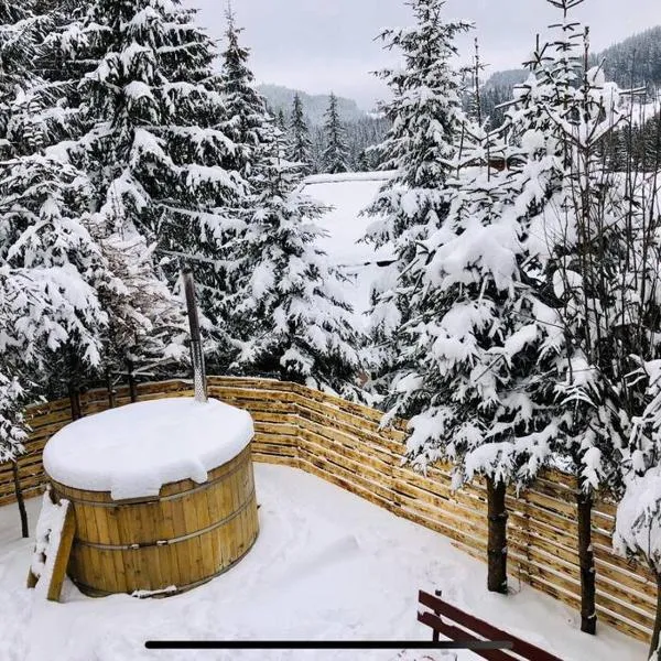 Cabana Harghita Băi，位于哈尔吉塔拜的酒店