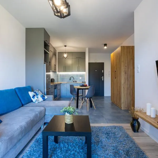 Vip Apartament Wieniawskiego，位于热舒夫的酒店