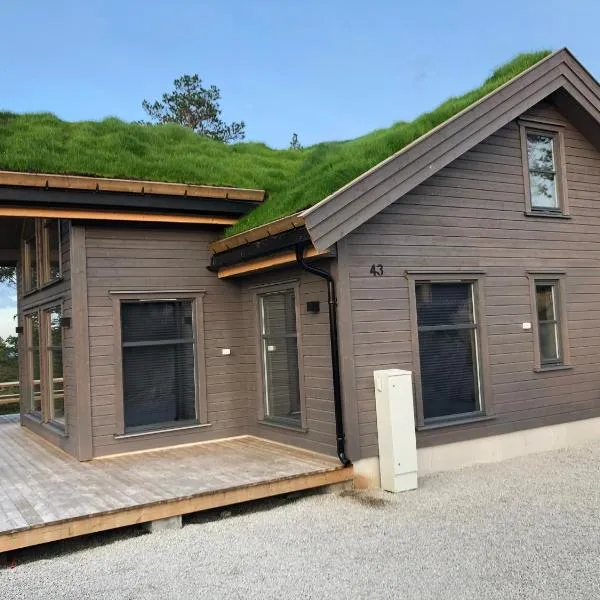 Familiehytte på Gautefall nær alpint og bading，位于Drangedal的酒店