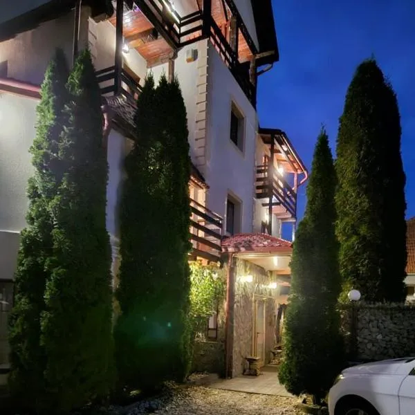 Hotel Bran Stoker，位于布朗的酒店