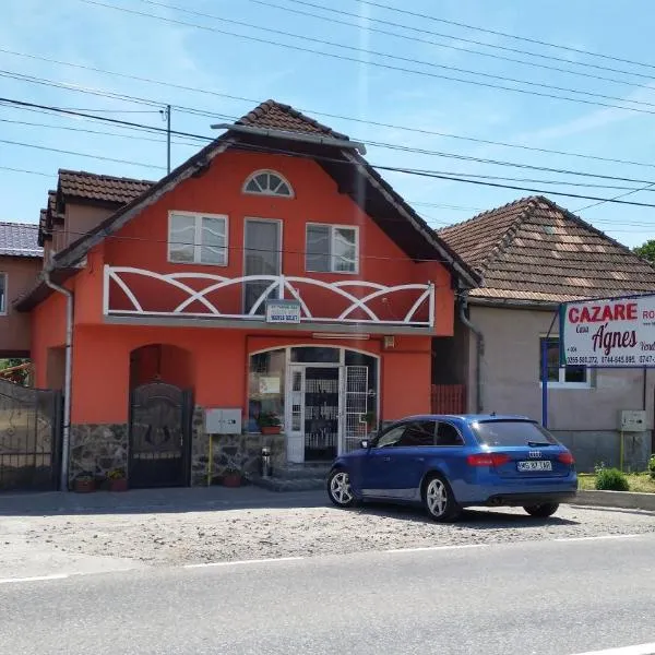 Casa Agnes Vendeghaz，位于Sîngeorgiu de Pădure的酒店