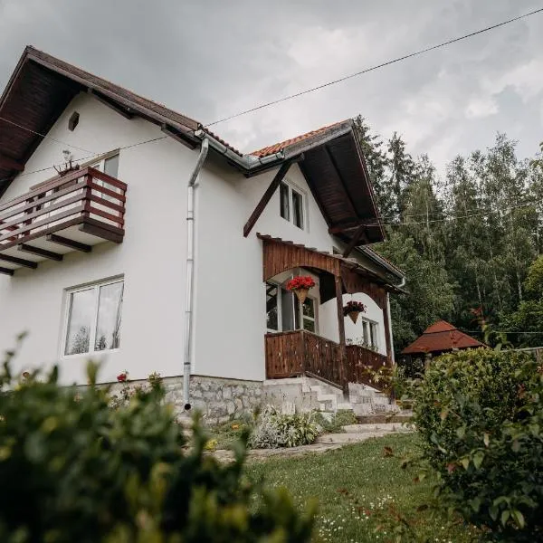 卡法伊潘兹奥住宿加早餐旅馆，位于Bălan的酒店