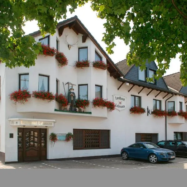 兰德罗曼酒店，位于Lippe的酒店