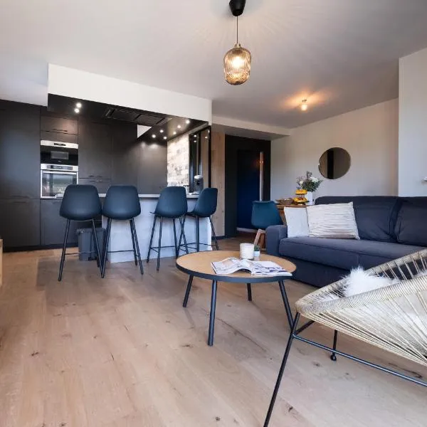 Appartement 3 pièces à Rennes Chez Guillaume，位于维金勒科吉特的酒店