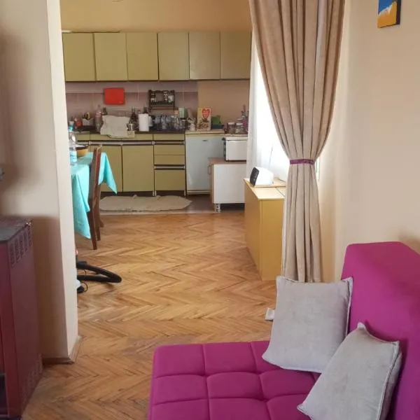 Prenoćište Zora，位于Kučevo的酒店