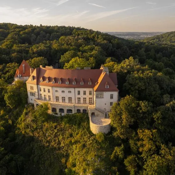 Zinar Castle，位于Cholerzyn的酒店