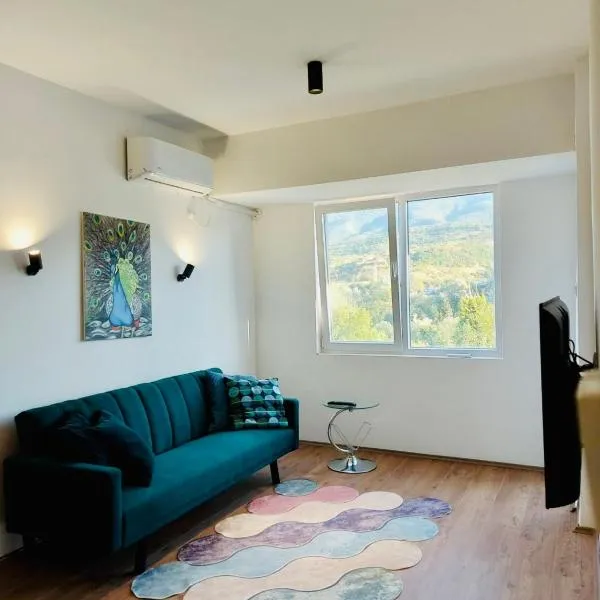 Relax in Apartment Stela，位于Semenište的酒店