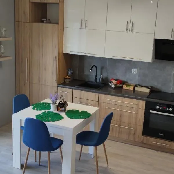 Apartament Pod Klonem，位于Bartoszyce- Galiny的酒店