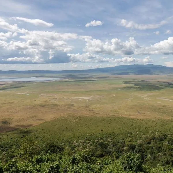 Ngorongoro Lodge member of Meliá Collection，位于恩戈罗恩戈罗的酒店