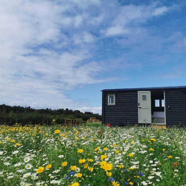 Barley Shepherd Hut - Snettisham Meadows，位于Colkirk的酒店