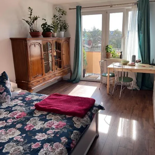 Apartament Parkowa Centrum，位于塔尔努夫的酒店